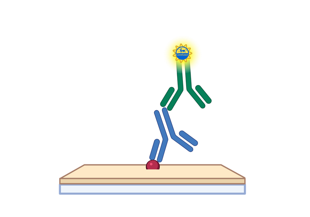 3-NT ELISA, Universal
