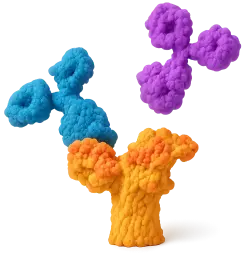  488 Rabbit anti-Human CD261/TRAIL-R1 mAb (100 T)